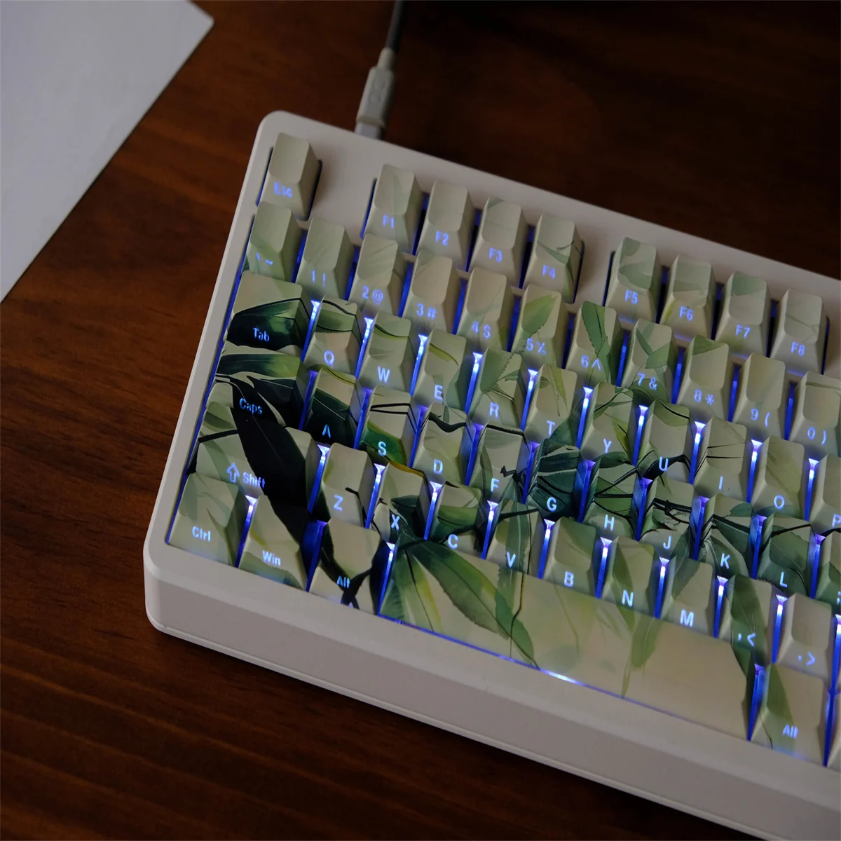 Teclas de transmisión de luz lateral de hojas de bambú, 135 teclas, Material PBT, perfil de cereza, DYE-SUB personalizado para teclado mecánico - imagen 5