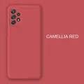 JK Camellia red