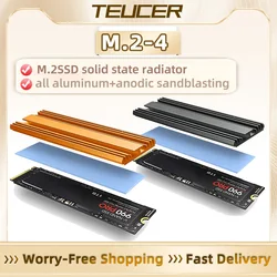 TEUCER Disipador SSD M.2 NVMe 2280 de Aluminio para PS5 y PC