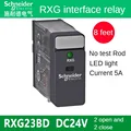 RXG23BD DC24V