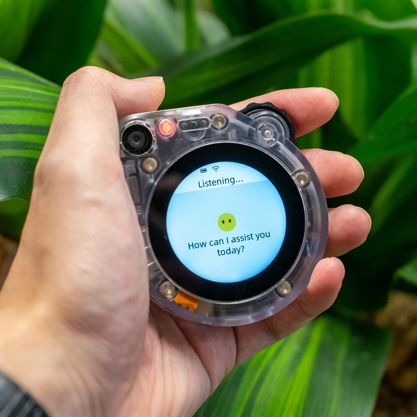 Observador SenseCAP: AI Smart Hub con control de voz - imagen 2