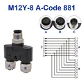 8P Y (1M-2F)