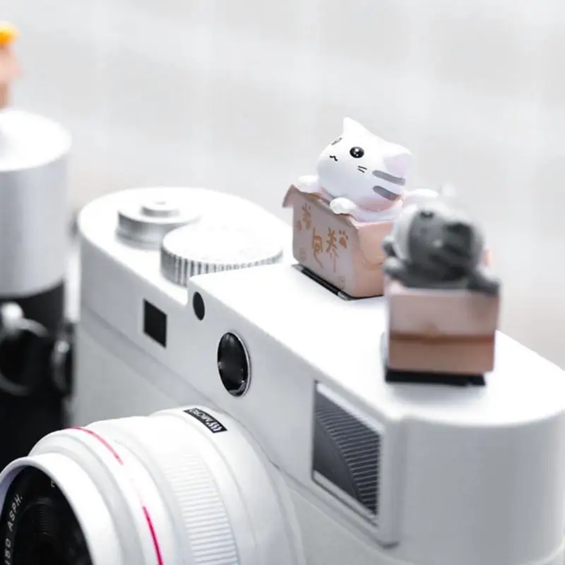 1 unidad dibujos animados creativos para cámaras marcha atrás individuales, cubierta protectora linterna cámara gato, cubierta Flash - imagen 3