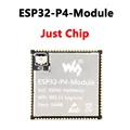 Just ESP32-P4 Chip