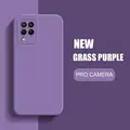 Grass Purple