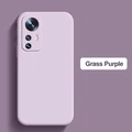 Grass purple