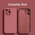 Camellia Red