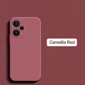 Camellia red