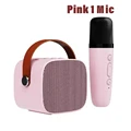 pink 1 mic
