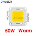 50W Warm White