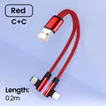 2Type C Red 0.2M