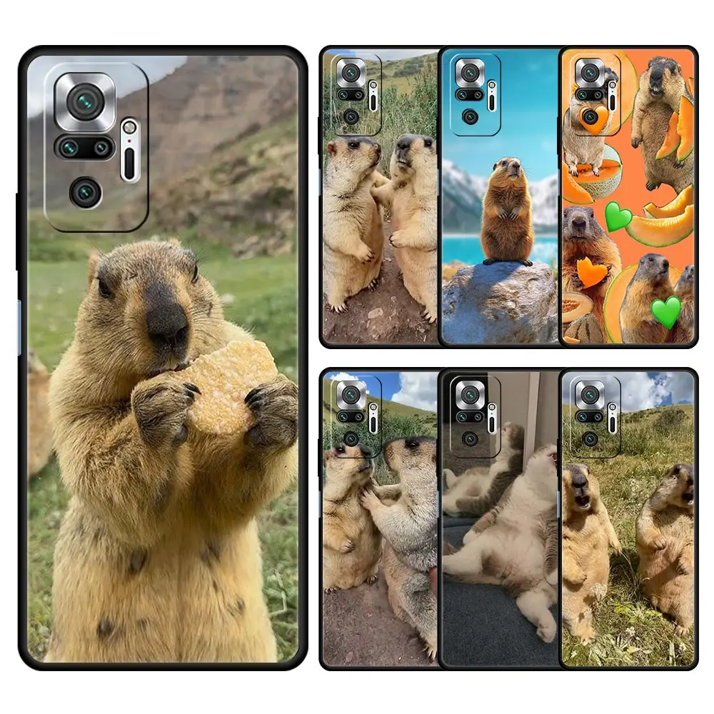 Funda de teléfono marmot para Xiaomi Redmi Note 14 13 12 5G 9S 9 10 11 Pro Plus 9T 14C 13C 12C 10C 9C 9A funda de silicona suave