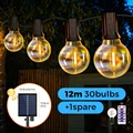 12m 31Bulbs