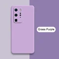 Grass Purple