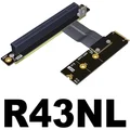 R43NL