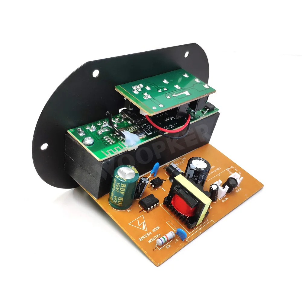Woopker-placa amplificadora D3 Mono Max 120W con Bluetooth, Radio FM, módulo de amplificador de Audio de 11V/ 220V/ 12V/ 24V - imagen 4