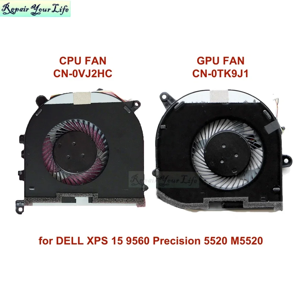 CPU GPU Both