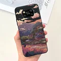 case-c31