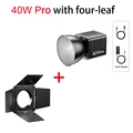 Pro with four-leaf