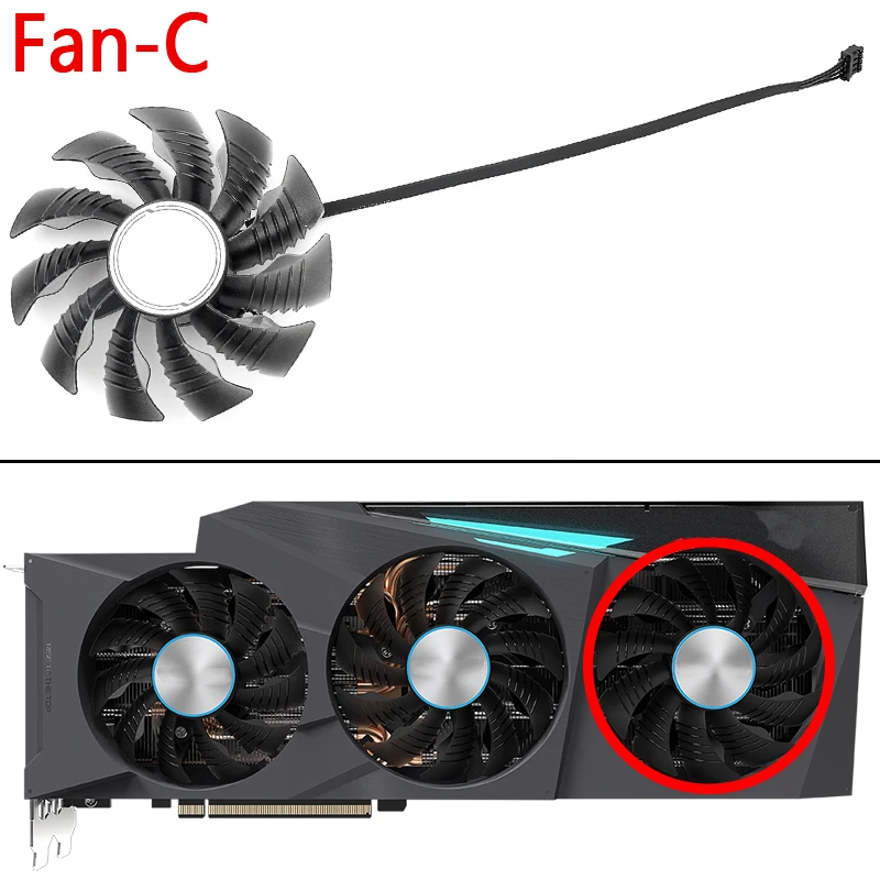 fan C