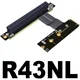 R43NL