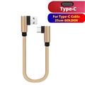 Gold Type C Cable