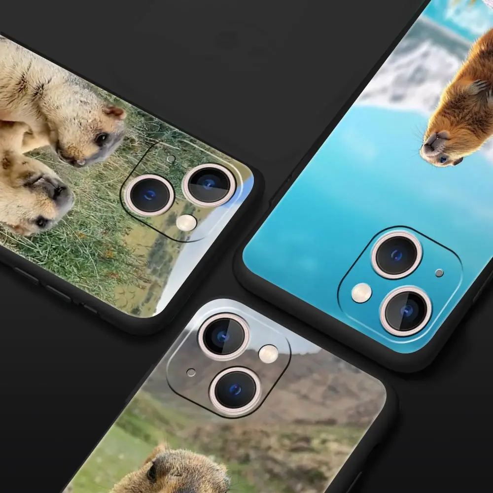 Funda de teléfono de lujo marmot para Apple iPhone 16 11 15 14 Pro MAX 12 13 7 8 Plus X XR XS SE funda negra de silicona - imagen 2