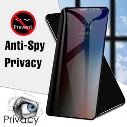 Protector de Pantalla Privacidad iPhone 11/12/13/14 Pro Max Mini