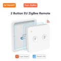 2 Button EU Remote