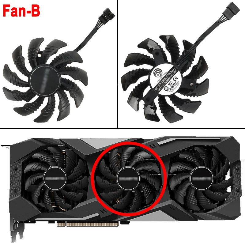 fan B