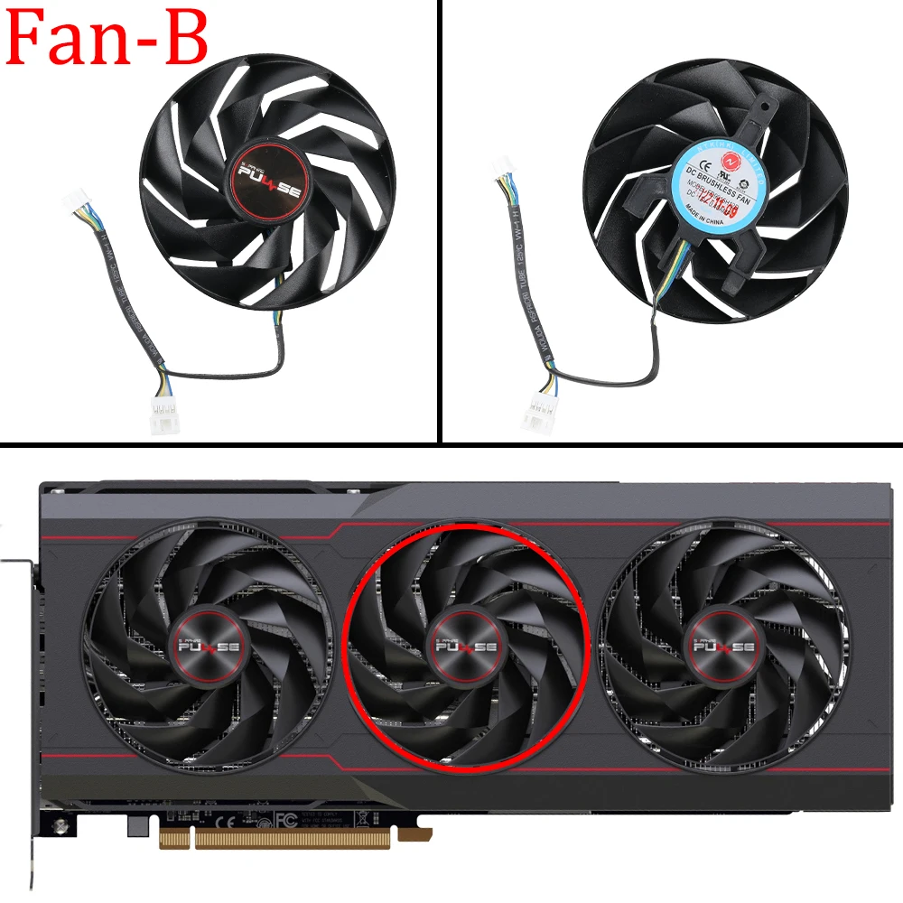 fan B