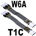 T1C-W6A