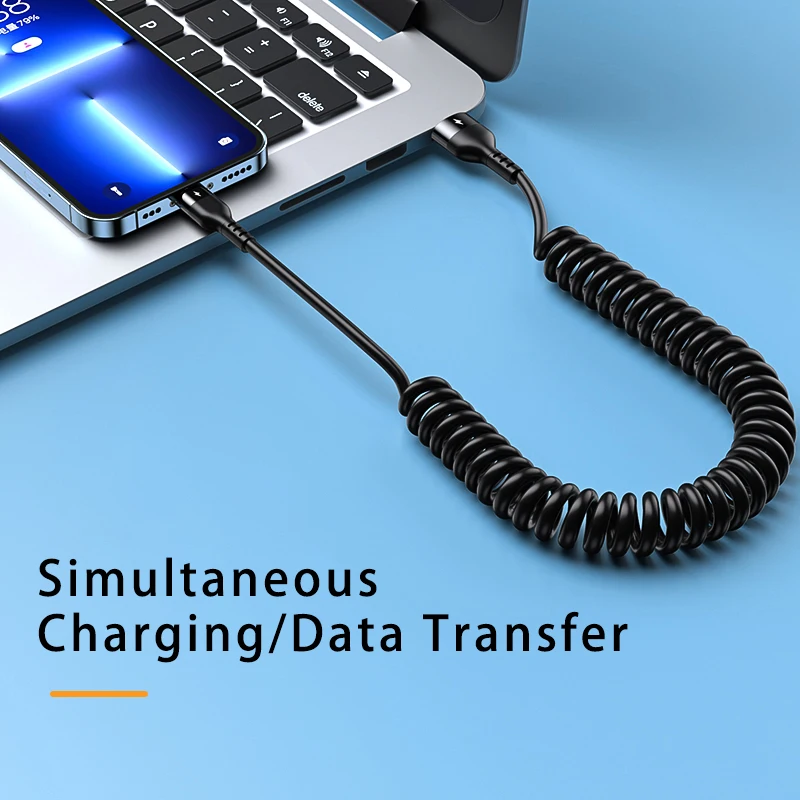 Black for iPhone2.4A