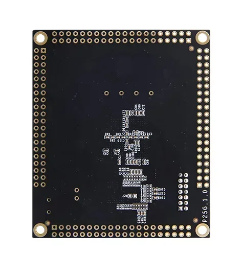 ALINX P25G: PANGOMICRO Logotipos PGL22G SOM FPGA Core Board P25G Demo BoardAlinx - imagen 3