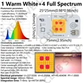 1Warm 4Full Spectrum