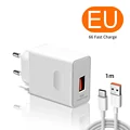 EU Plug 1M 6A Wire