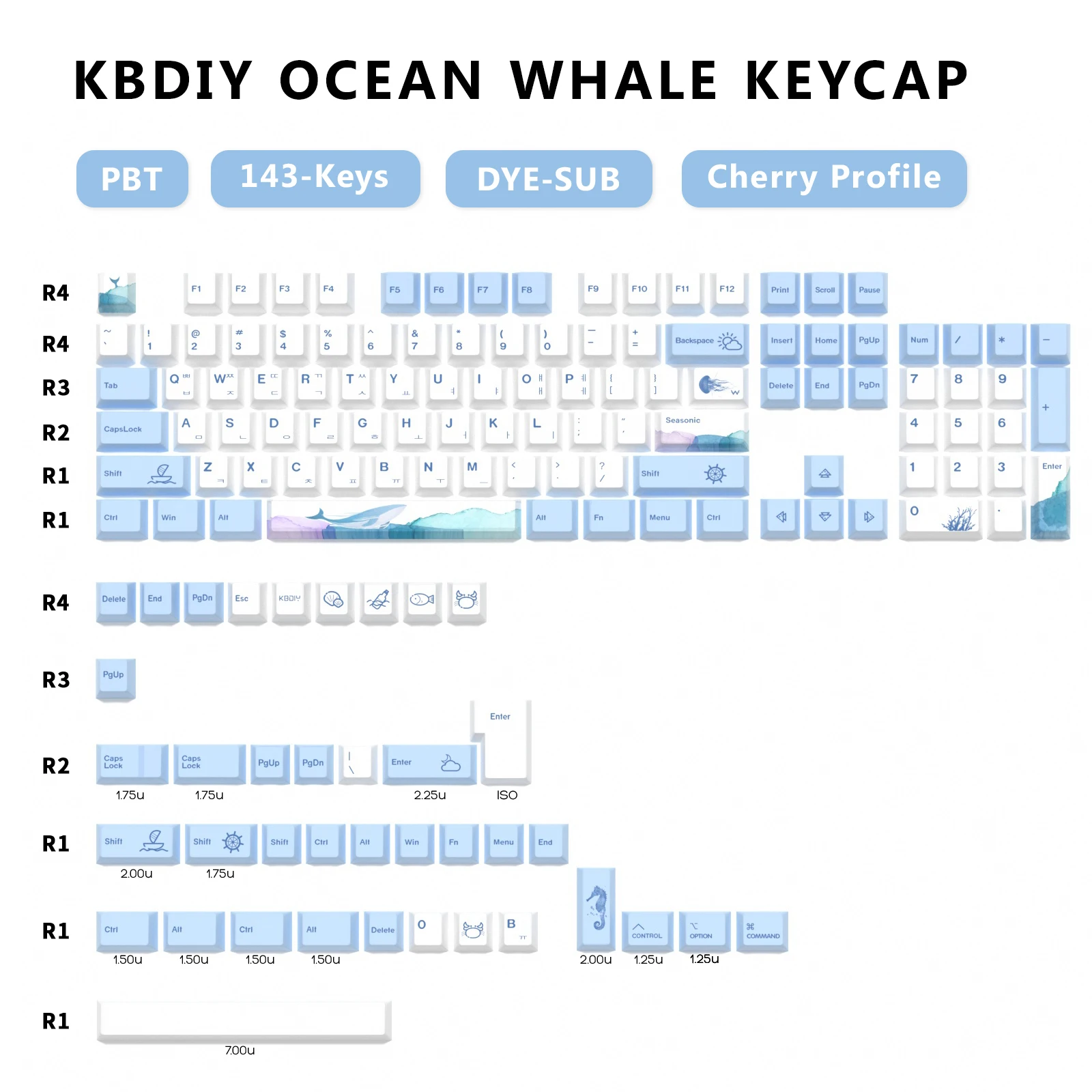 Ocean Whale -KR