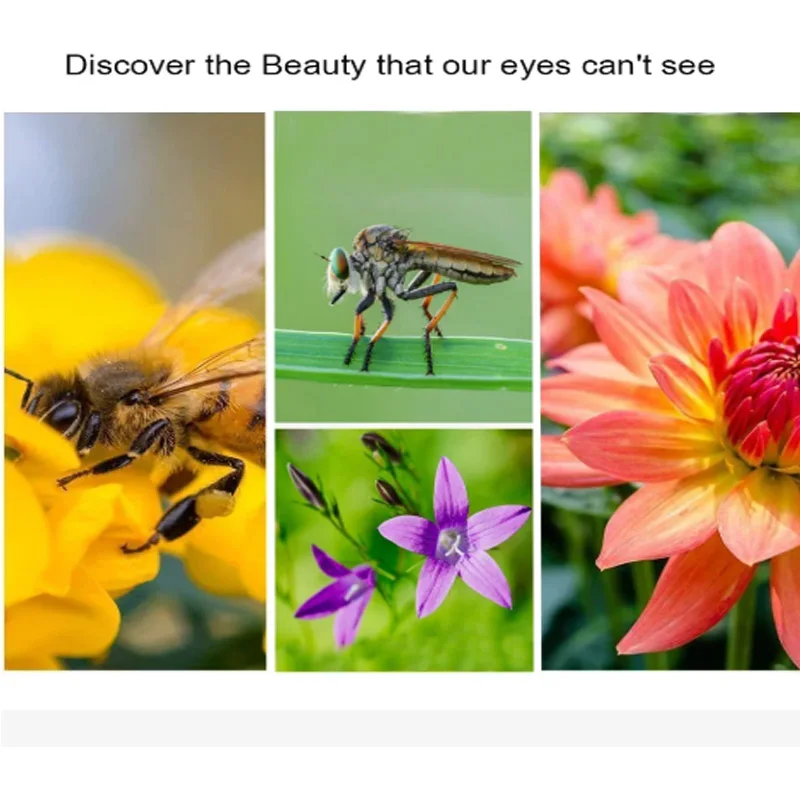 Macro cerca de arriba 10 + filtro de lente para Canon eos Sony Nikon d600 200d accesorios 60d 18-200 400d 37 49 52 55 58 62 67 72 77 82mm - imagen 5