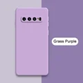 Grass Purple