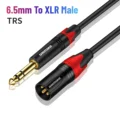6.5 TRS Mic Cable(M)