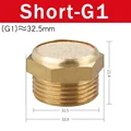Short-G1