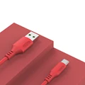 Type-c Red