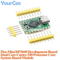 Pico Mini Module