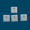 White WASD