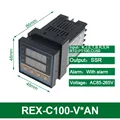 REX-C100-V AN