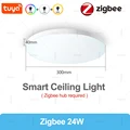 Zigbee 24W