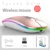 Wireless Mouse  D
