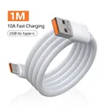 10A Cable-1m