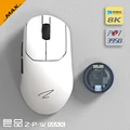 ZPW MAX White Black