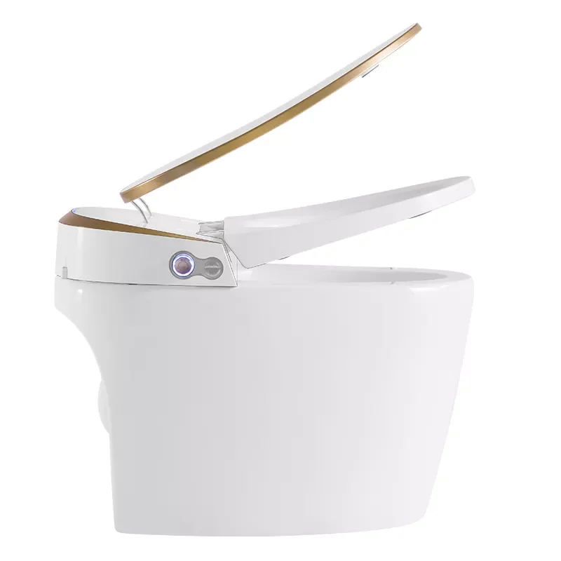 Baño eléctrico con Sensor automático, inodoro inteligente de una pieza con Cómoda para Wc, inodoro inteligente de línea dorada con Control remoto - imagen 5